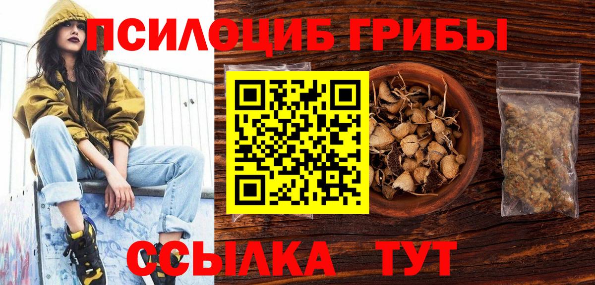 Галлюциногенные грибы мицелий Избербаш