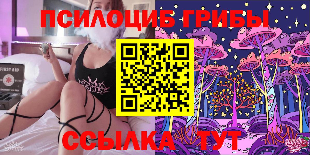 Избербаш  Псилоцибиновые грибы MAGIC MUSHROOMS  Галлюциногенные грибы GOLDEN TEACHER  Вход с VPN 